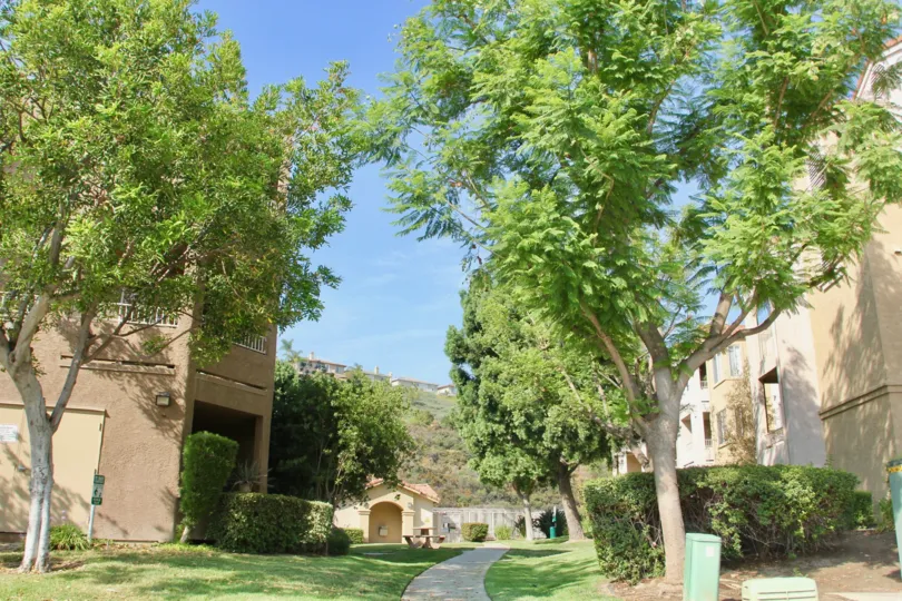 Serene pathway lined with trees and trimmed shrubs with picnic tables available