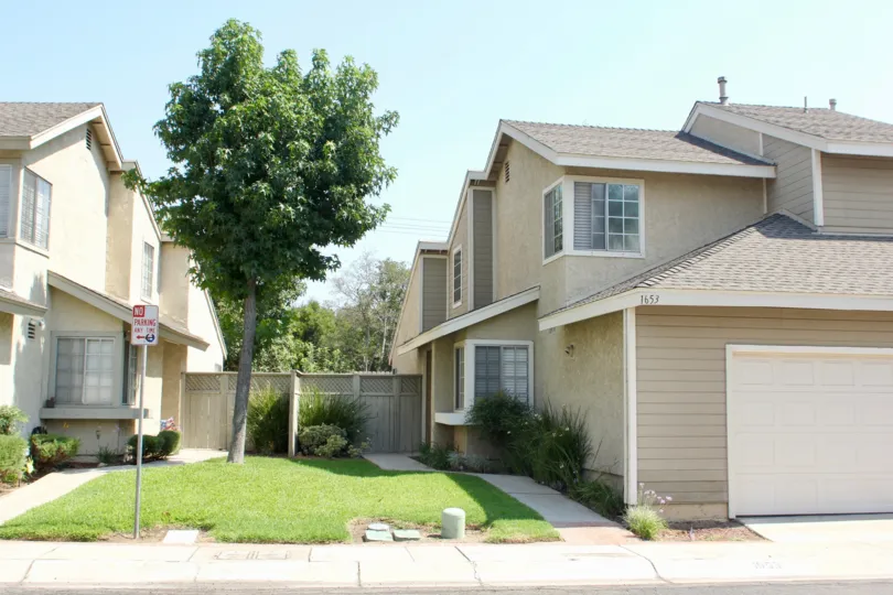 The two beautiful houses in Santiago with single tree