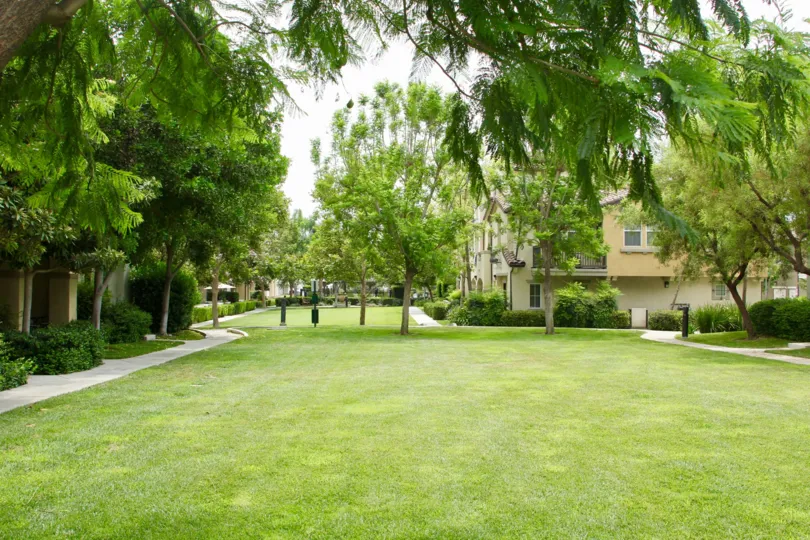 A park surrounded by trees and there is a house in Serafina community