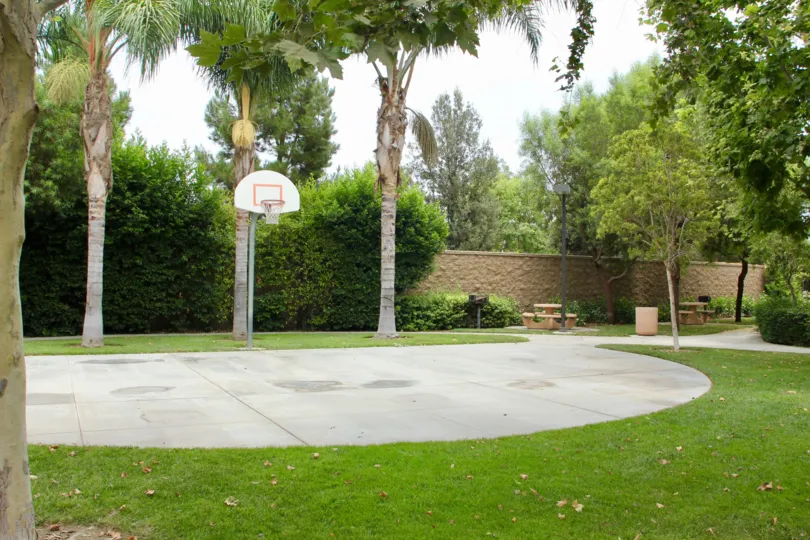 there is a basket ball court is placed where we can play and coconut tree is placed