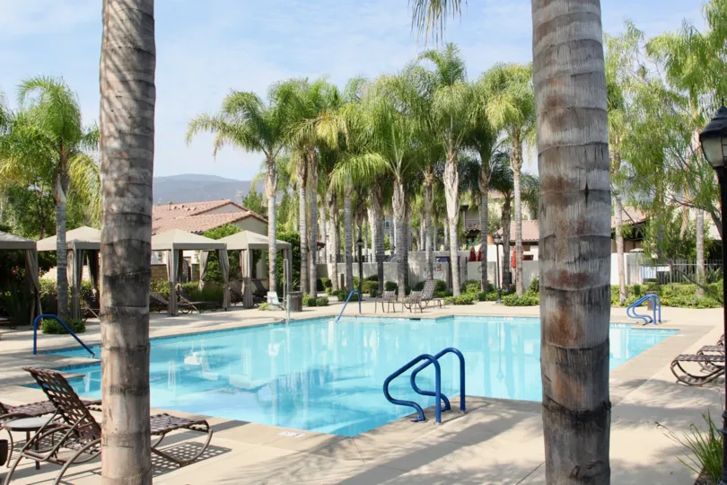 Pool area with covered pool chairs and palm trees with blue railings