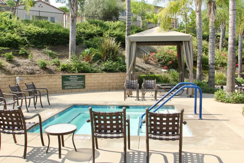 Pool and patio area with manicured landscaping and palm trees