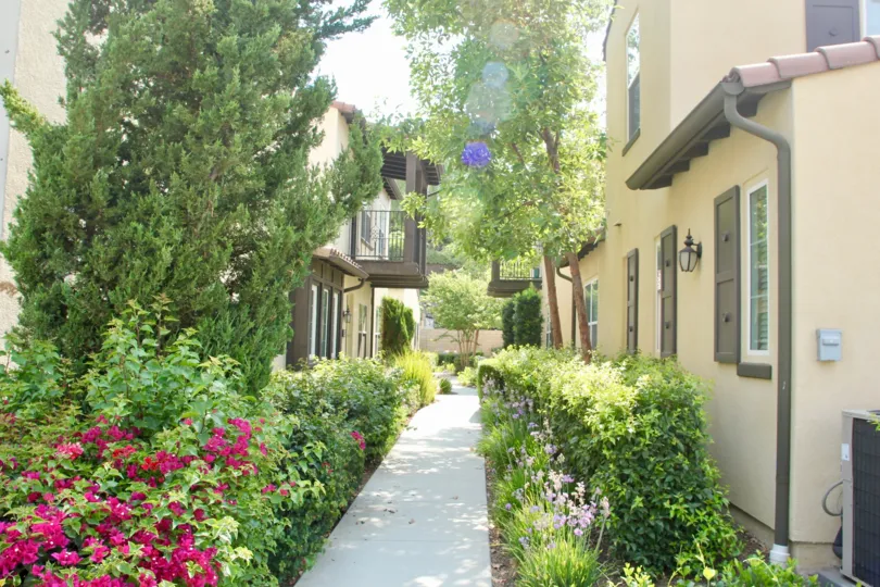 A beautiful gardin between elegant aparments in Shady Grove