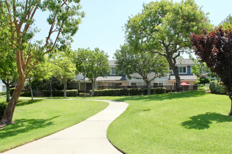 A Community walkway with grass, trees and beautiful serenity