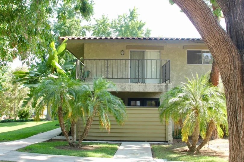 Palm trees green grass and older looking condo at the lakes at corona
