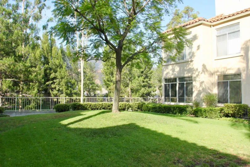 A garden with a tree infront of a house in The Terraces at Sierra Del Oro