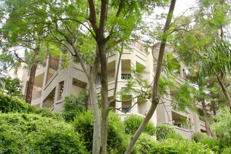 trees are fully covered the house and three floor of upstair contains in house
