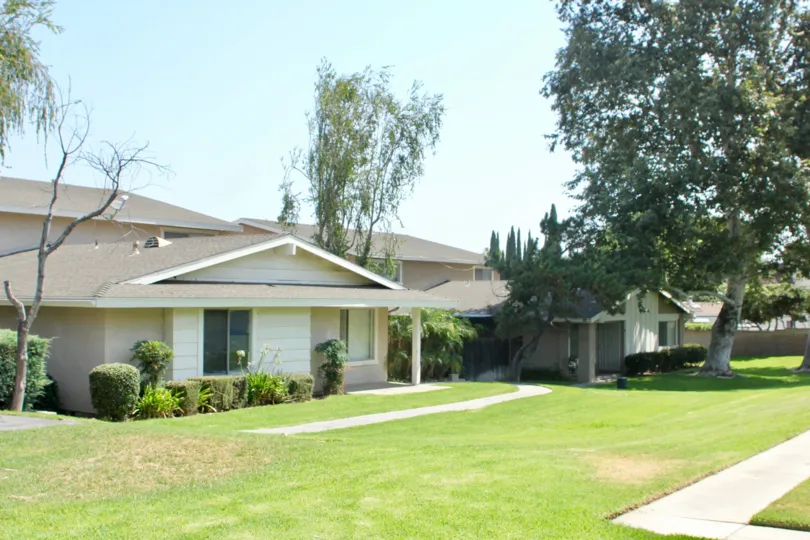 A trees sits in a large yard at the Village Grove Four Plex.