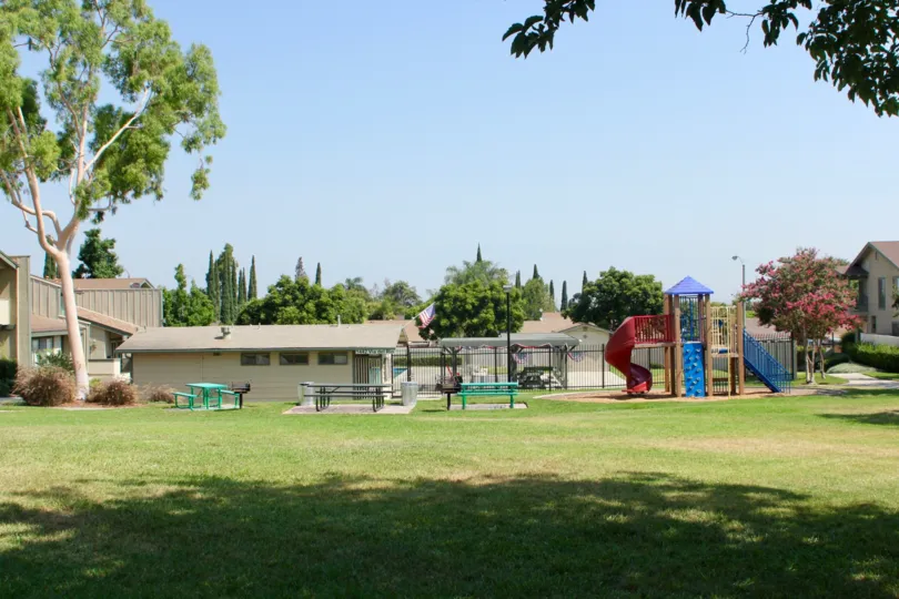 Sunny day in a park with trees in Village Grove Townhomes community