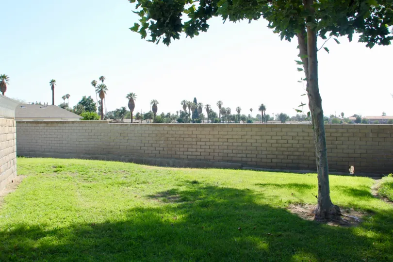 Views of palm trees in the distance at Dartmouth Arbors, California