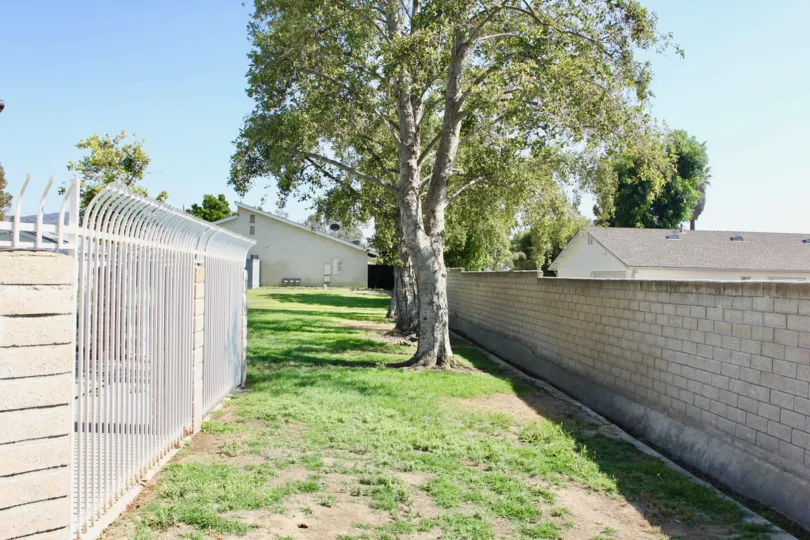 A tree sits between a white iron fence and a brick privacy wall at Dartmouth Arbors.