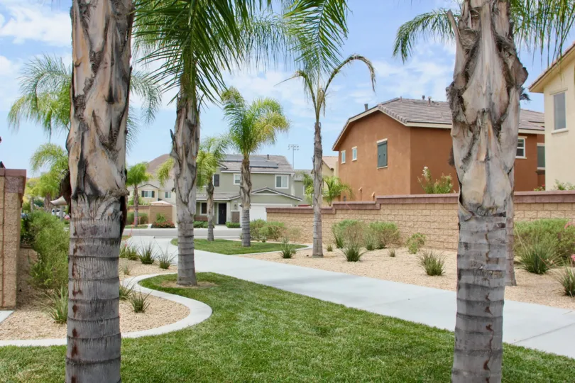 Large palm trees seen in the garden of an apartment complex in Cottonwood Canyon Hills neighborhood