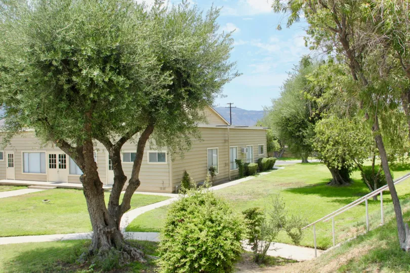 Tree garden with shrubs and landscaped grass on hilly terrain with pathways and stairs