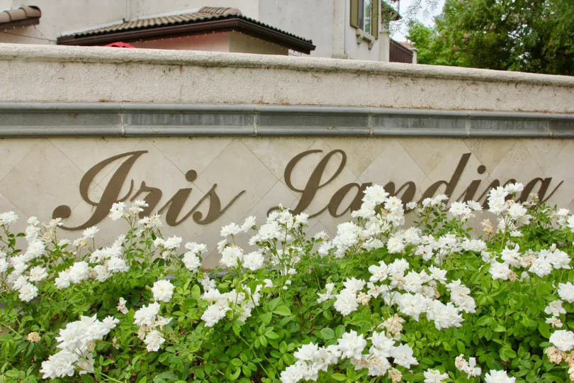 Beautiful flowers on a lovely day at Iris Landing in Moreno Valley, California