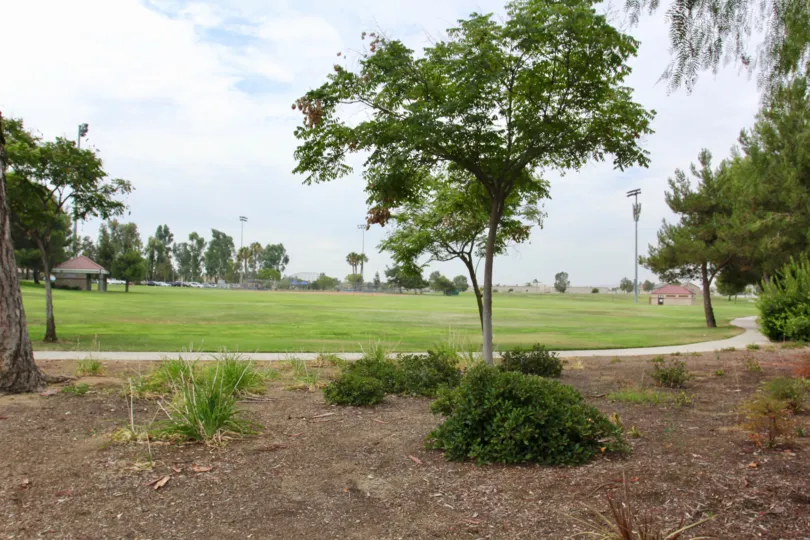 Trees and Bushes in the park at Parkside at Towngate Moreno Valley California