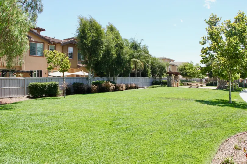 A sunny day in the Alta Murrieta park with children's playground and picnic tables