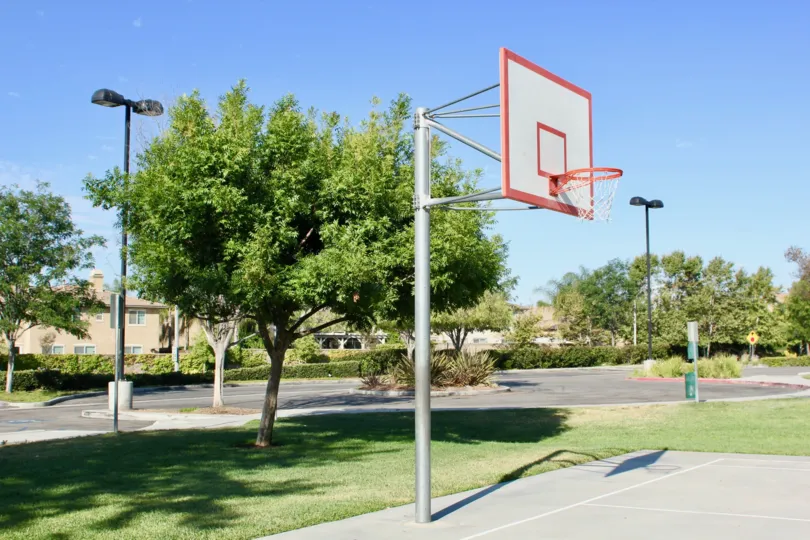 Paseos at Crown Valley murrieta California hided house behind huge tree and play space