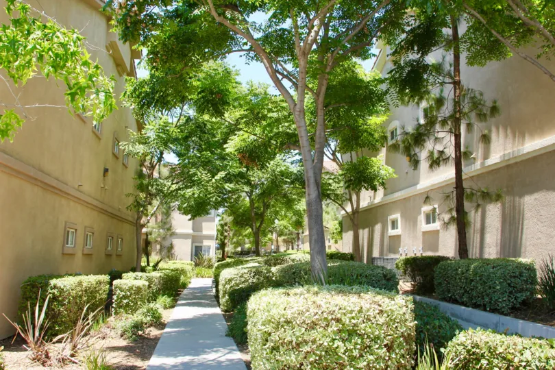 A beautiful view of greenery of the side of units from the Reserves at Madison Park