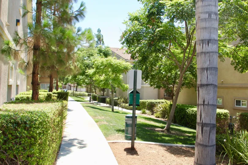 A long side walk surrounded by trees next to large townhomes in Reverses at Madison park.