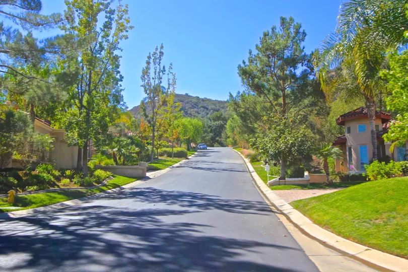 Serene tree lined residential street in Retreat at Bear Creek community.