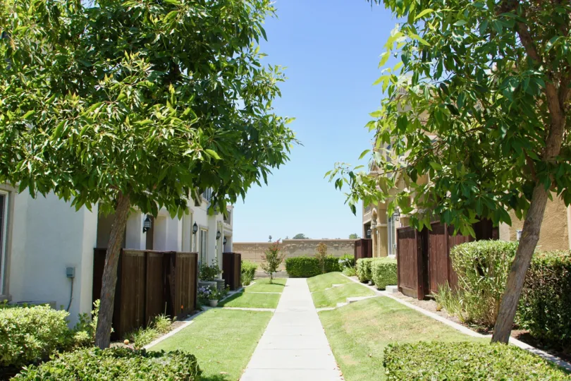 Garden area walk way with manicured lawns, trees and shrubs