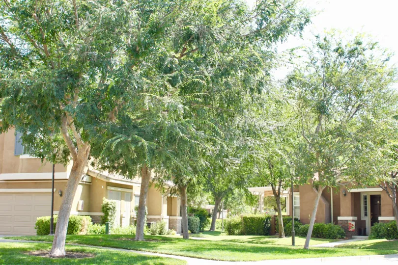its always sunny in the landscapes of villas at old school house community