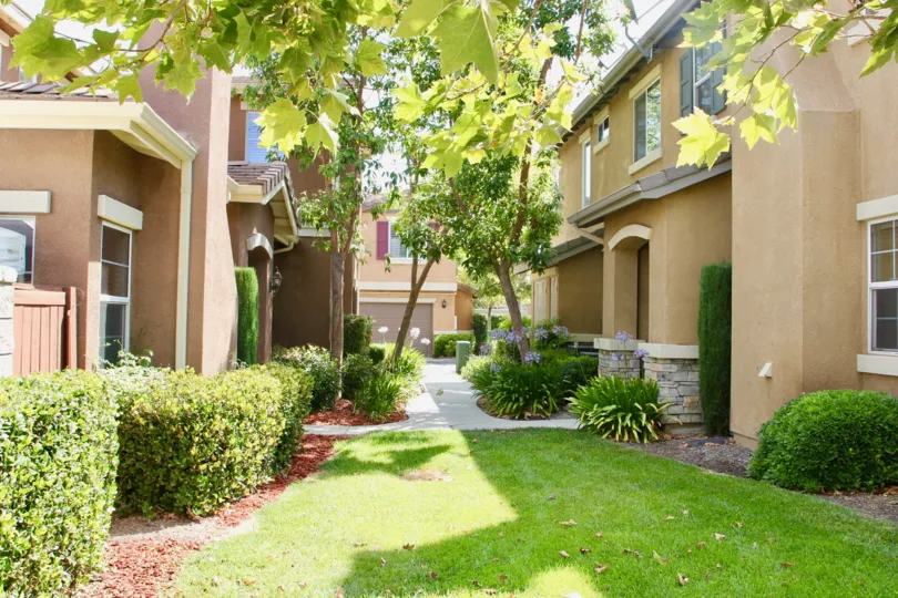 A plant line walkway on a sunny day at Villas at Old School House.