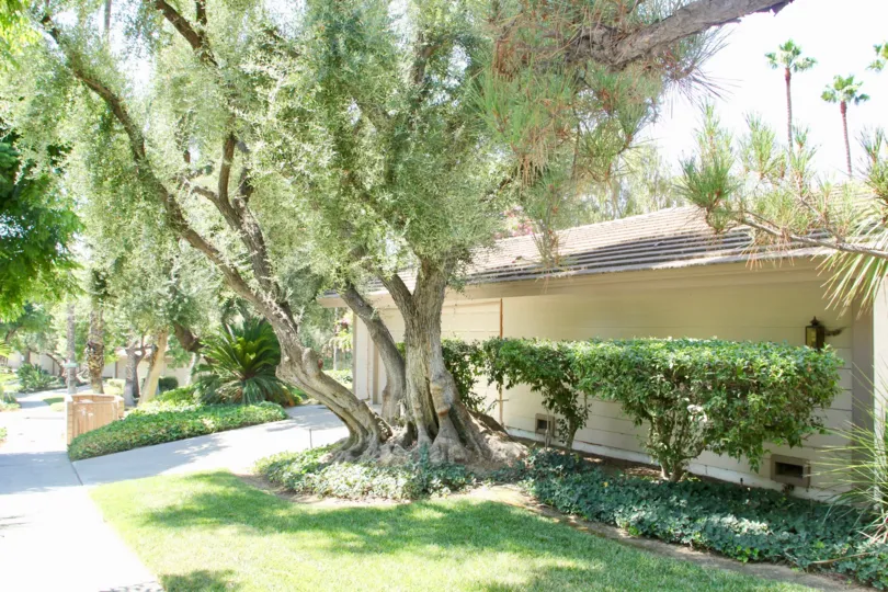CANYON CREST VILLAS IS IN THE CITY OF RIVERSIDE AND IN THE STATE OF CALIFORNIA