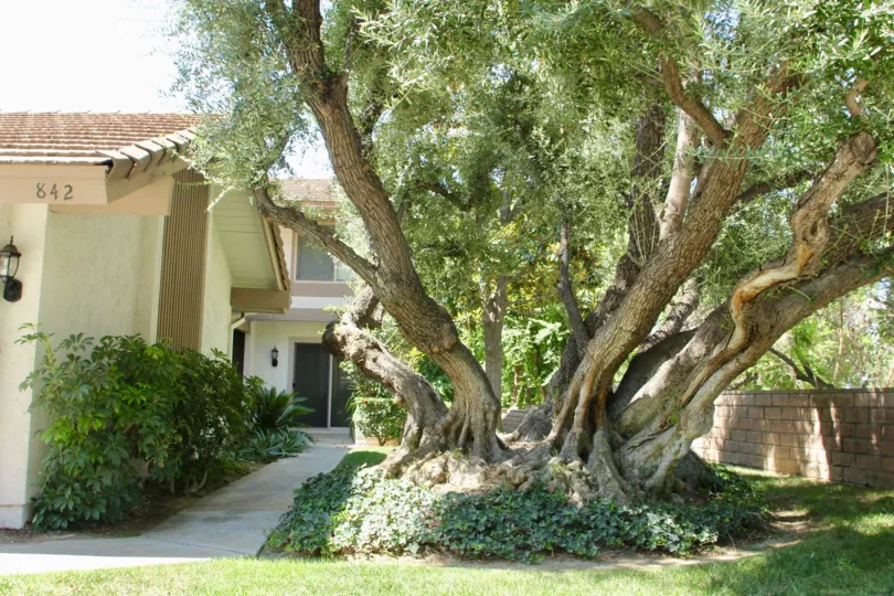 The best of Canyon Crest Villas, riverside, California