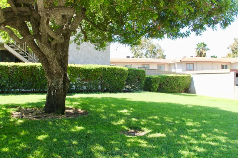 A beautiful sunny day under an oak tree in front of Country Club Villas located in Riverside California.