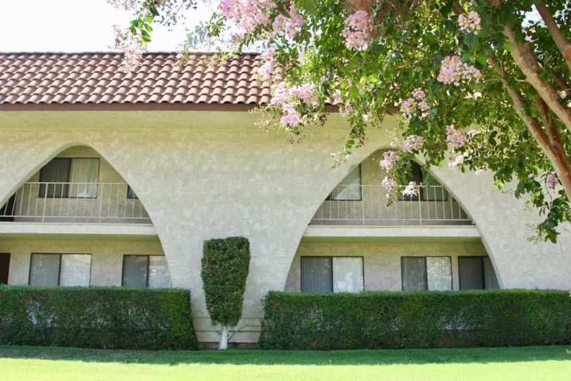 A single bush sits in front of a wall at Country Club Villas
