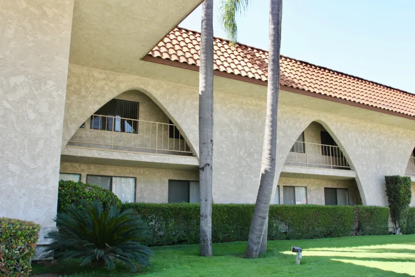 Three palm trees sit in a group in a yard at the Country Club Villas.
