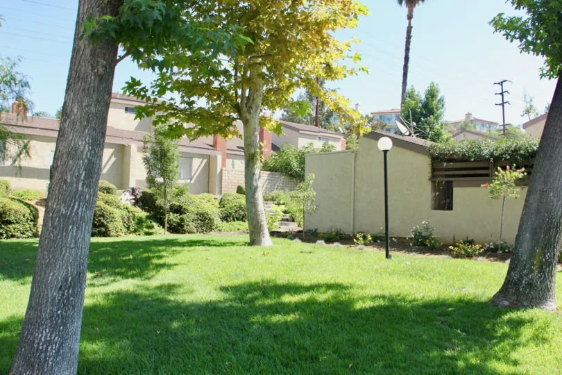 A secluded backyard with a lamp post in the Crest View Estates community.