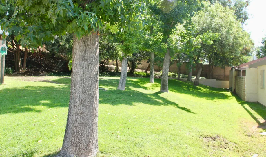 A fabulous house to live love relaxed with garden in crest view estates riverside California