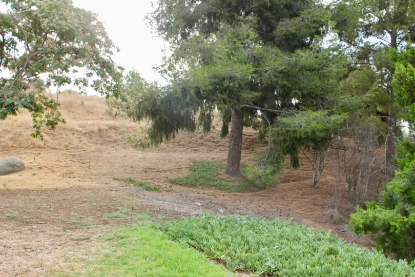 Bush land of De Anza Verde with no houses on it, West La, California