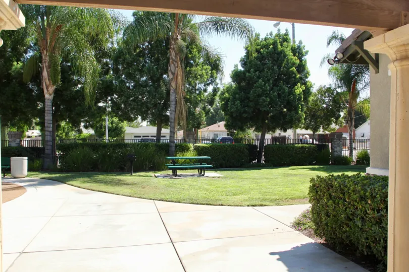 A view of a park or a backyard in Georgetown Square community.