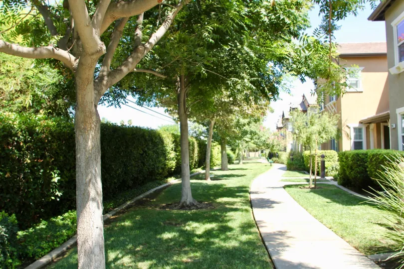 GEORGETOWN IS IN THE CITY OF RIVERSIDE AND IN THE STATE OF CALIFORNIA