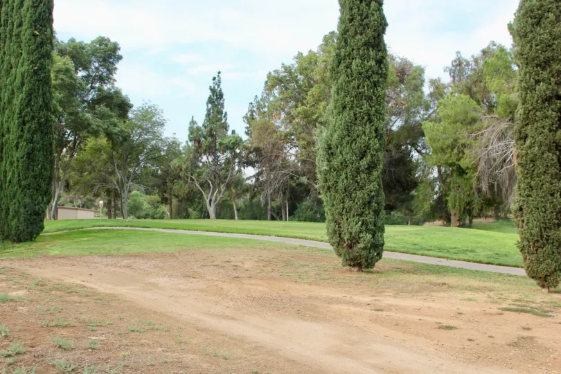 A uniquely green view at Jurupa Hills Country Club, riverside, California