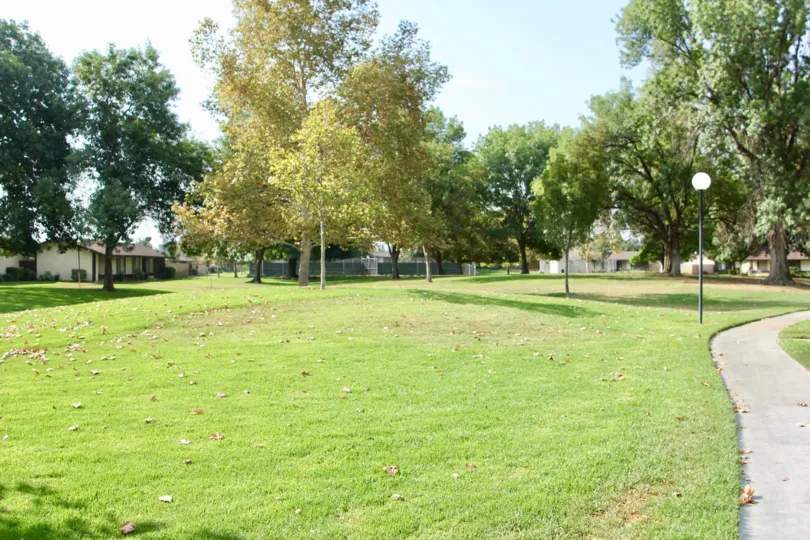 A sunny day in he park in Loving Homes Greens with trees and houses