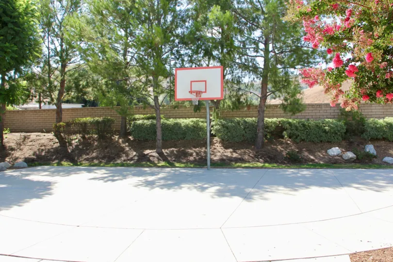 Basketball court surrounded by tall trees, trimmed shrubs and landscaping