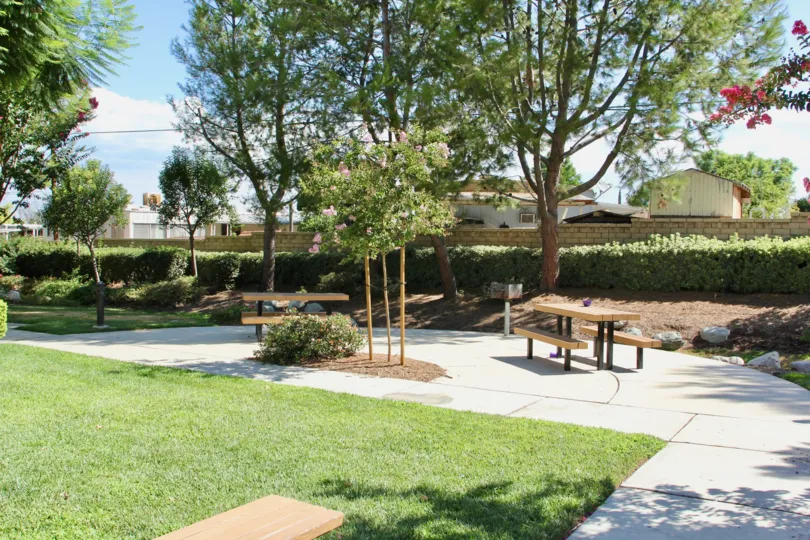porch street east riverside california outdoors picnic tables trees walking