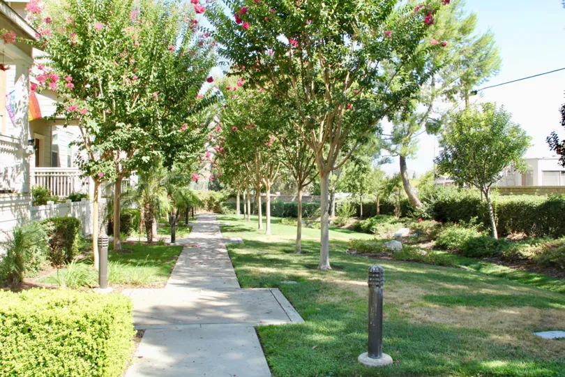 Tree lined path with grassy area and manicured gardens and trimmed hedges