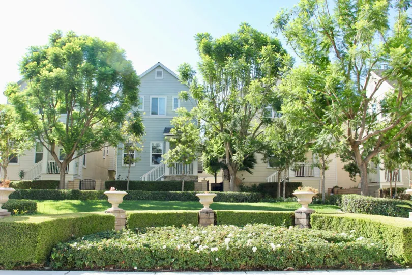 garden is in front of house beautifully arranged with pots full of trees and flowers and house is covered