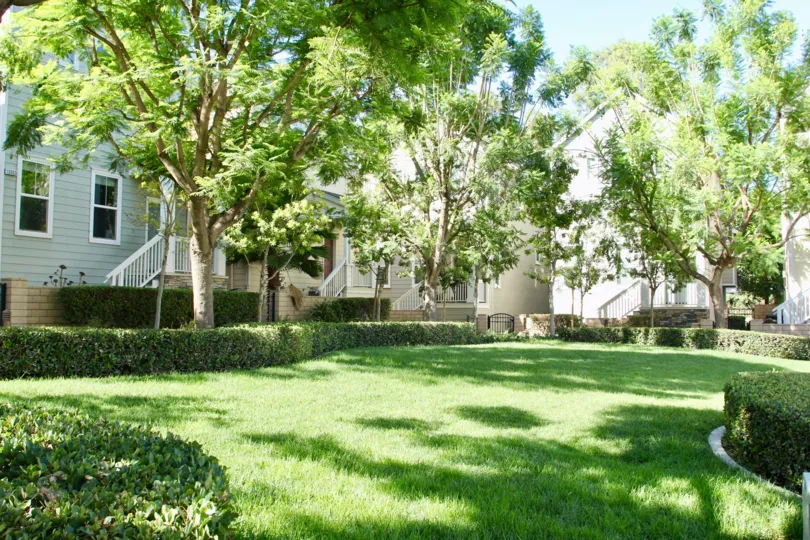 A bright summers' day in the Porch Street West community in Riverside, California.