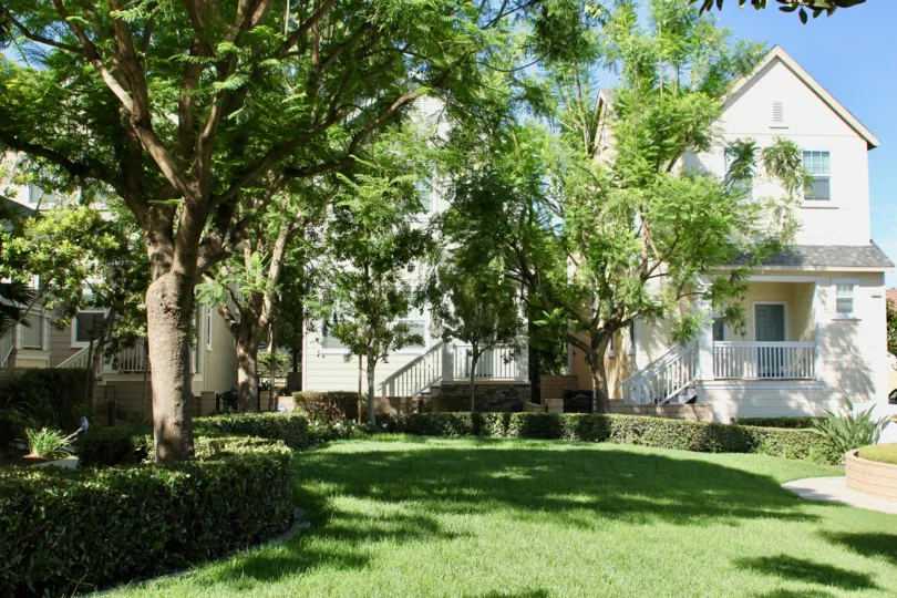 Two-level housing units with an amply shaded yard in Porch Street West community.