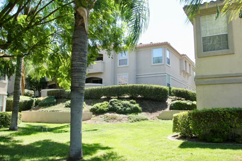 Beautiful planted palm trees at an Apartment houses at Sonata at Canyon Crest community at riverside California