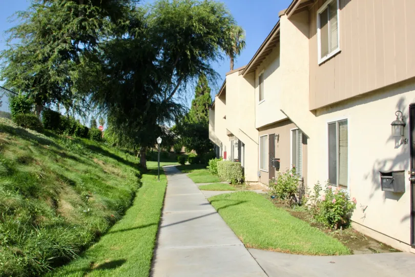 beautiful sunny day with really green grass at the community of springbrook park