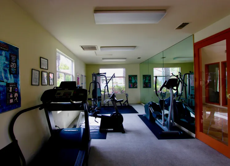 Home gym with large windows, mirrored wall, exercise equipment galore