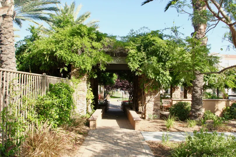 Palm trees and other bushes surround the entrance to this courtyard at Reflections at Temecula Lake
