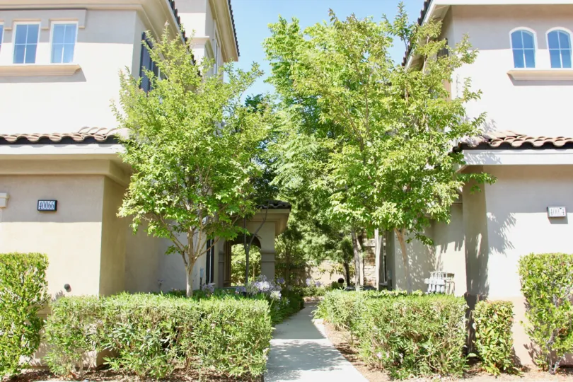 Garden pathway between two buildings lined with shrubs and trees